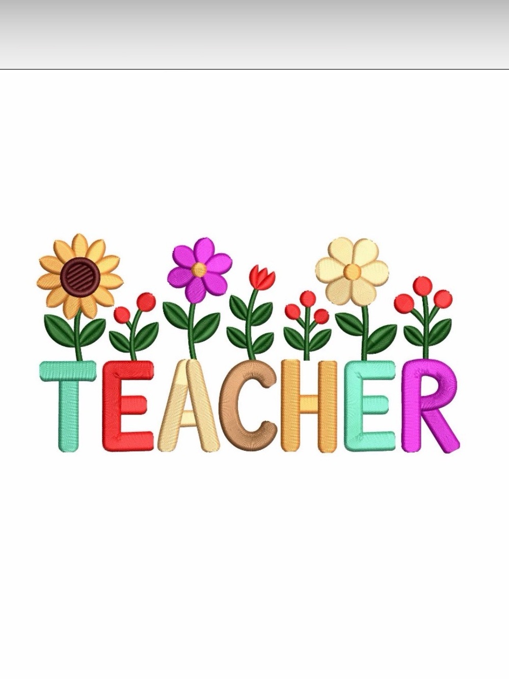 TEACHER BUNDLE